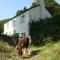 Barn Cottage
