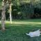 Suikerbosrant Sleep and go