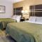 Quality Inn Stone Mountain Atlanta