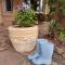 Geralds Gift Guest House