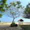 Dream Garden