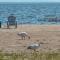 Domaine sur une plage