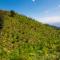 Primavera Ecoalbergue
