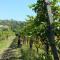 Farmstay Kmetija Štekar