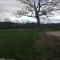 Coed Canol Farm