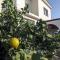 MAGIC CORAL VILLA 304 by Coral Sun Villa com