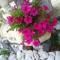 Apartman Pelcic,with WiFi and free parking