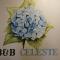 B&B CELESTE - Bedonia
