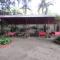 Felipa Beach and Guesthouse - Lotus