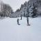 STUDIO CHALEUREUX aux pieds des pistes de ski des Glovettes - Villard-de-Lans