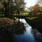 Le Nichoir