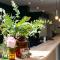Best Western Hotel du Lac Dunkerque- Restaurant ouvert 7/7 midi et soir
