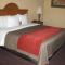 Comfort Inn & Suites and Suites Fredericksburg