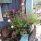 Firefly Guesthouse