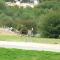 618 Airpark