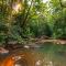 The Canopy Rainforest Treehouses & Wildlife Sanctuary - Tarzali