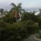 Sea Shell Palms, Ocho Rios - Ocho Rios