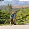 Blackcherry Munnar