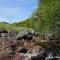 Burnside Cottage on the Blarich Estate - Rogart