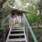 Jungle Living Tree Houses - Monteverde