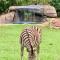 Benka LifeStyle Country Cottages - Ezulwini