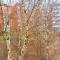 Birch view apartment