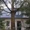 Apartamenty Martushka
