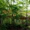Treehouse Lika1