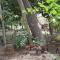 Villa Amarant - Private Garden with Pool Retreat