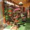 Hotel Tababela Land