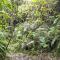 Hacienda San Isidro Trails & Experiences