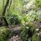 Hacienda San Isidro Trails & Experiences