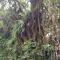 Hacienda San Isidro Trails & Experiences