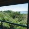 Drake Bay Greenleaf