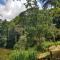 360 Rainforest