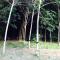 Mr Bao Homestay & Bungalows - 阁遥岛