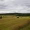 Clashmore Wood