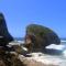 Palmeras Del Mar