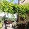 Holidays in apartment with swimming pool in Tuscany Siena - Asciano