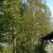 La Gare aux Oiseaux photo 20
