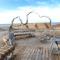 Ventspils Seaside Lux Apartments