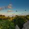 Mamasan Treehouses & Cabins