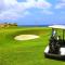Thunderbird Resorts - Poro Point - San Fernando