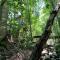 Cairns Rainforest Retreat