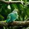Eco Lodge Village Temanoha