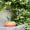 B&B I Corni di Nibbio - ميرجوزو