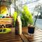 Be.Ho DaLat - Attic