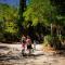 Camping la Peiriere - Chalet & Mobile-home