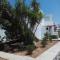 Nicos Studios & Apartments