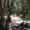 Tulum Nueve